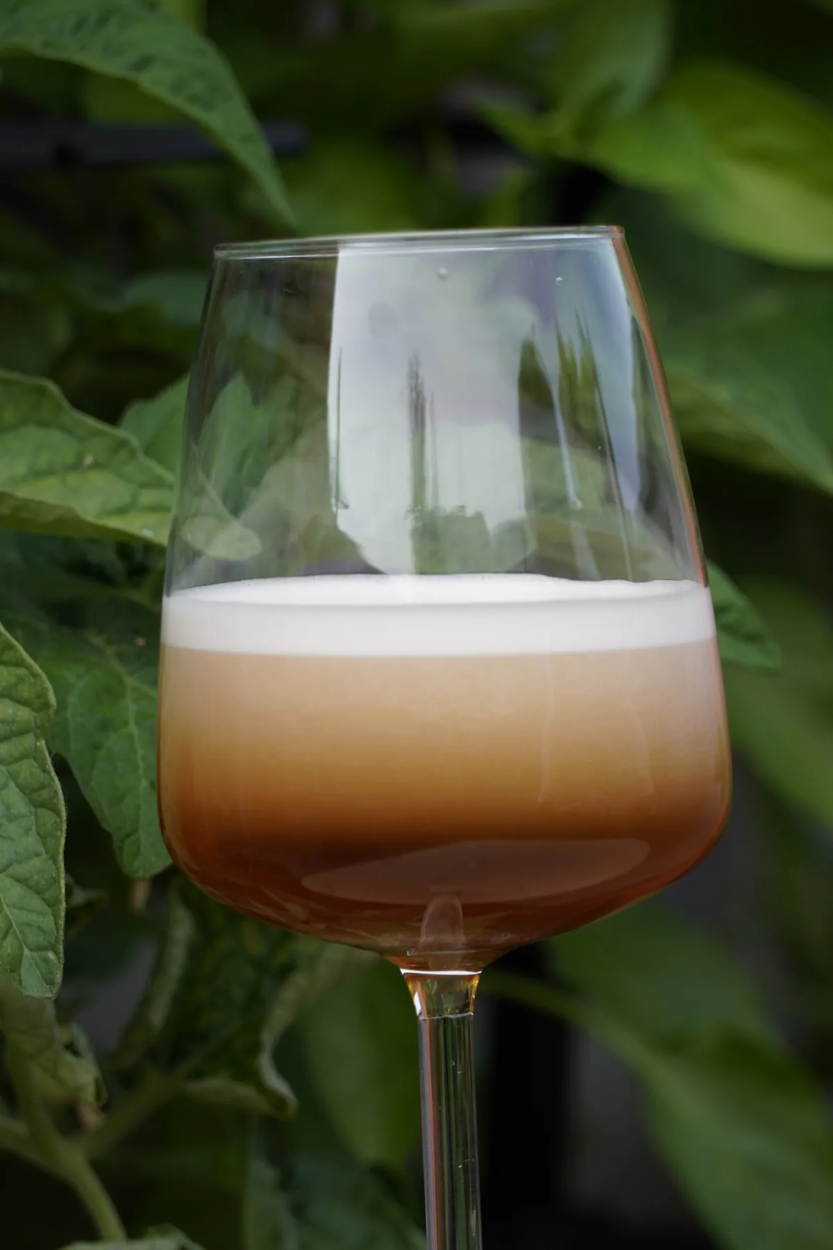 Nitro Cold Brew aus der Bag-in-Box